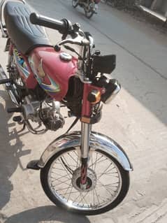 Honda CD 70 2023/24 03219599697