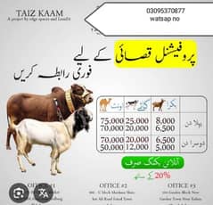 qasab