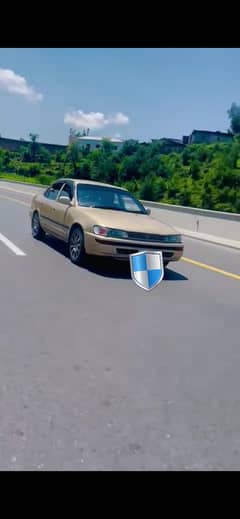 corolla