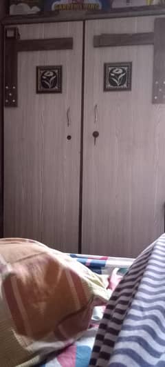 two door Cupboard