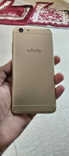 vivo