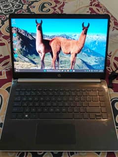 HP Laptop 14, Corei5 10th Generation for Sale (Windows 11)