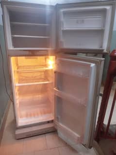 PEL dabal door fridge 03128712448