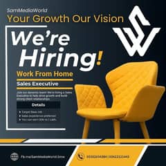 Sales Executive Start Work From Home