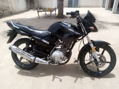 yamaha ybr  18/19 model  golden number 49