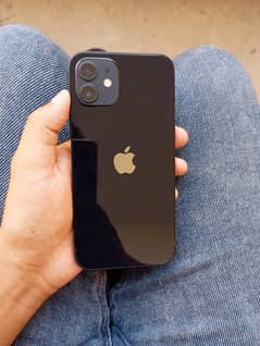 iPhone 12, JV