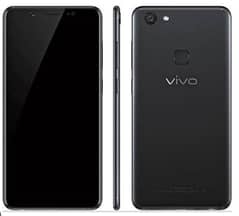 vivo