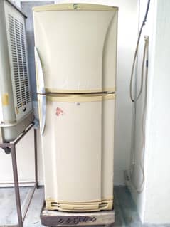 Pel Crystal Refrigerator