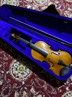 Violin
