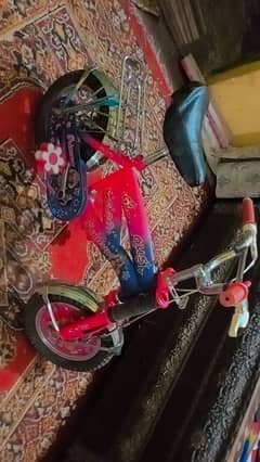 Barbie,s cycle