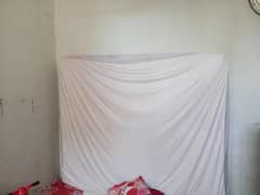 molti foam