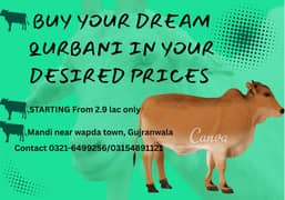Qurbani janwars