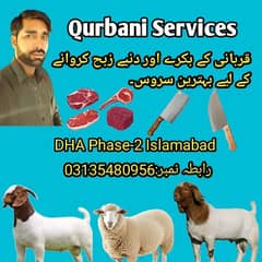 qurbani servis