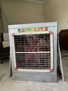 Lahori cooler