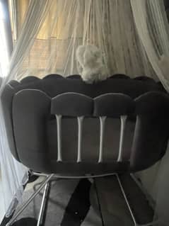 Bassinet cots with net (Grey)