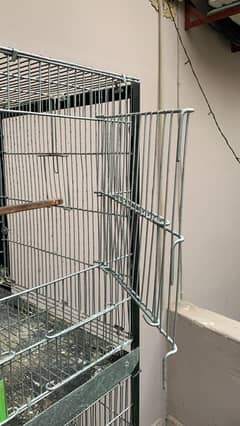 bird cage for sale