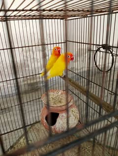 for