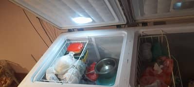 waves best freezer for Bakra eid