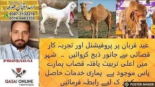 Qasai