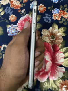 Iphone 6 pta approved