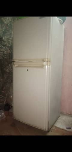 Fridge Orient