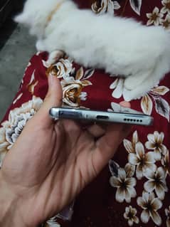 tecno camon 40 pro