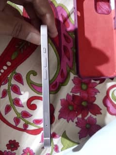 iPhone 13 PTA