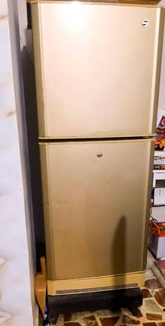 ELL Life Pro Aspire Compact Refrigerator