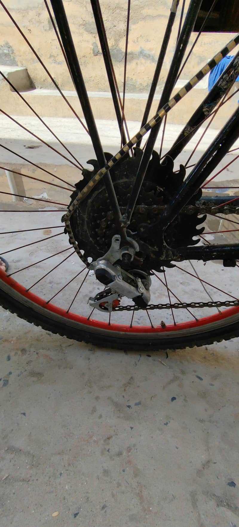 phonix cycle 1