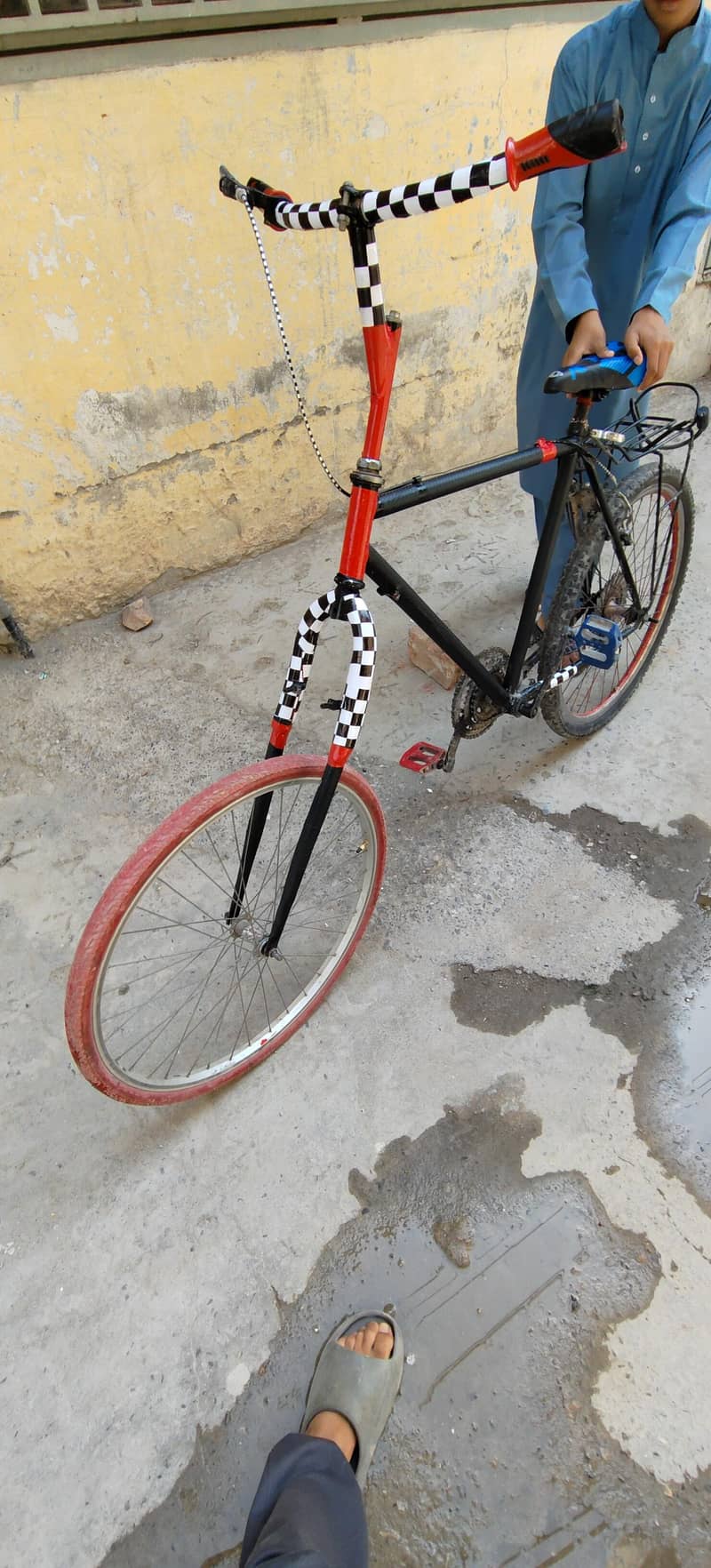 phonix cycle 2
