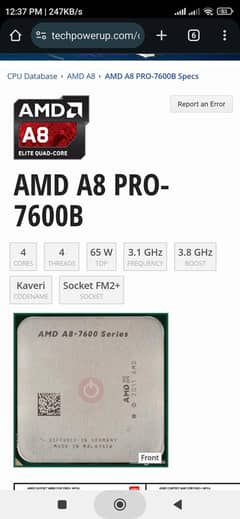 Amd