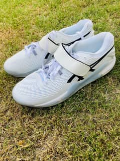 cricket