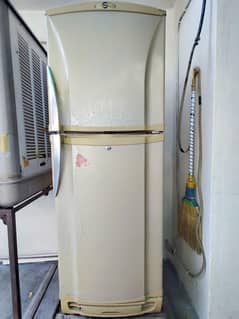 Pel Crystal Refrigerator