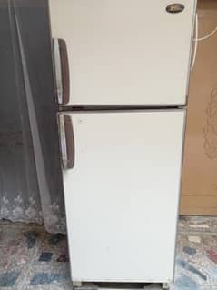 PEL