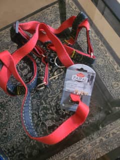dogs and cats collar