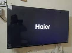 Haier