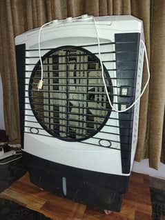 Ornate Air Cooler jumbo size All Okay no Fault