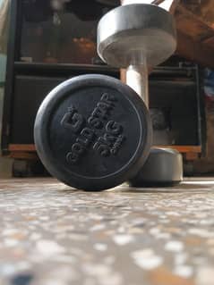 5 kg dumbbells set