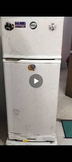 Pel Fridge