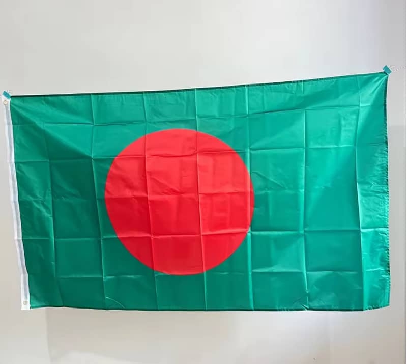 Turkey, UAE, Bangladesh, Palestine & Political Flags | Lahore Special 2