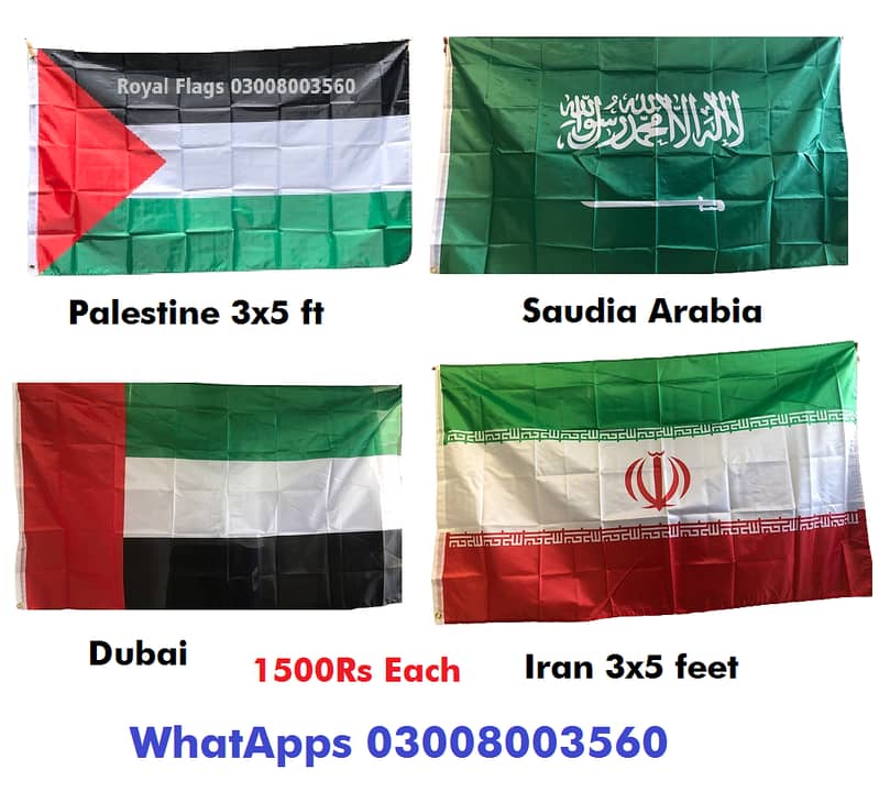 Turkey, UAE, Bangladesh, Palestine & Political Flags | Lahore Special 16