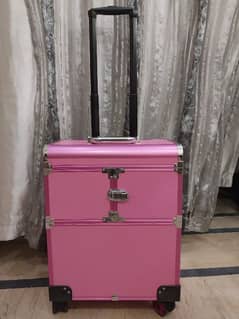 Professional makeup bag
