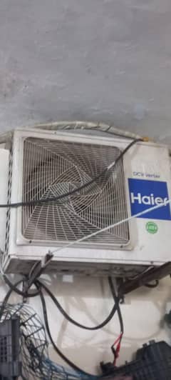 Haier