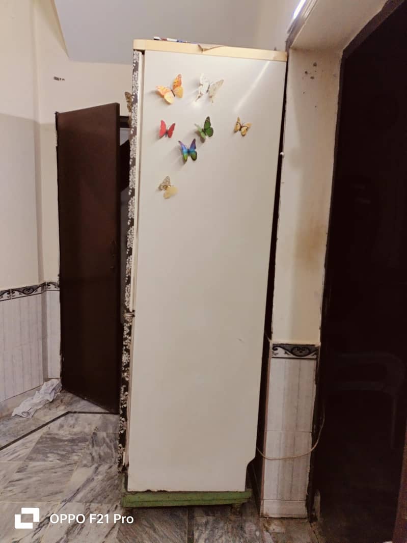 Bosch Fridge 6