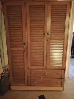 Beach wood polish finsh