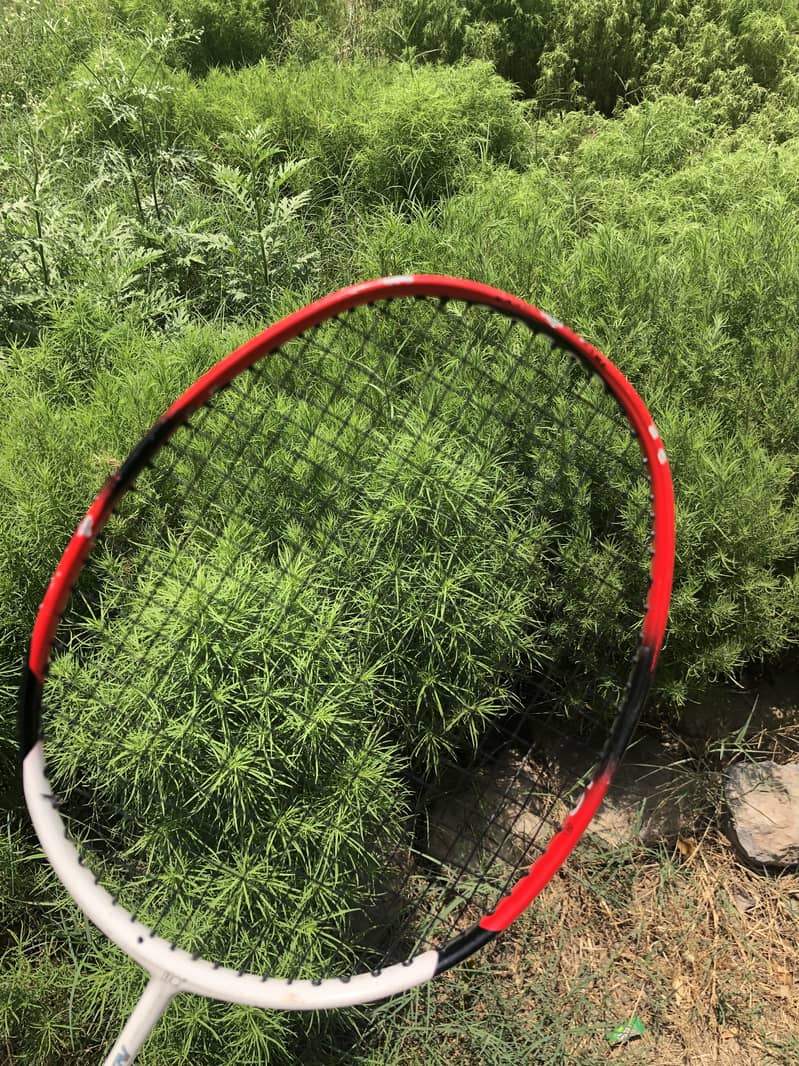 Hi-Qua Racket Nano Dynamic 8300 2
