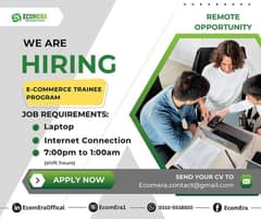 Ecommerce Trainee Program