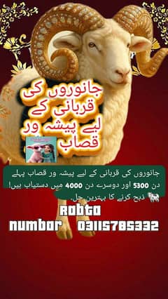 Qasab