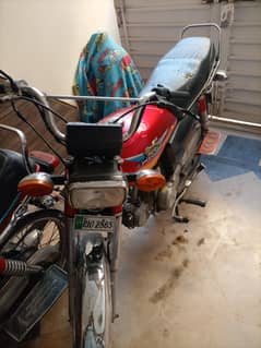 habib