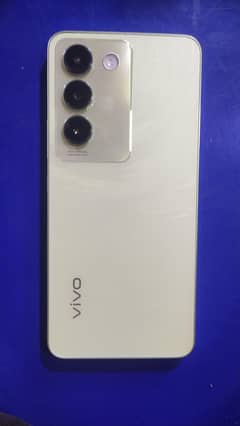 Vivo Y100 8+8 256